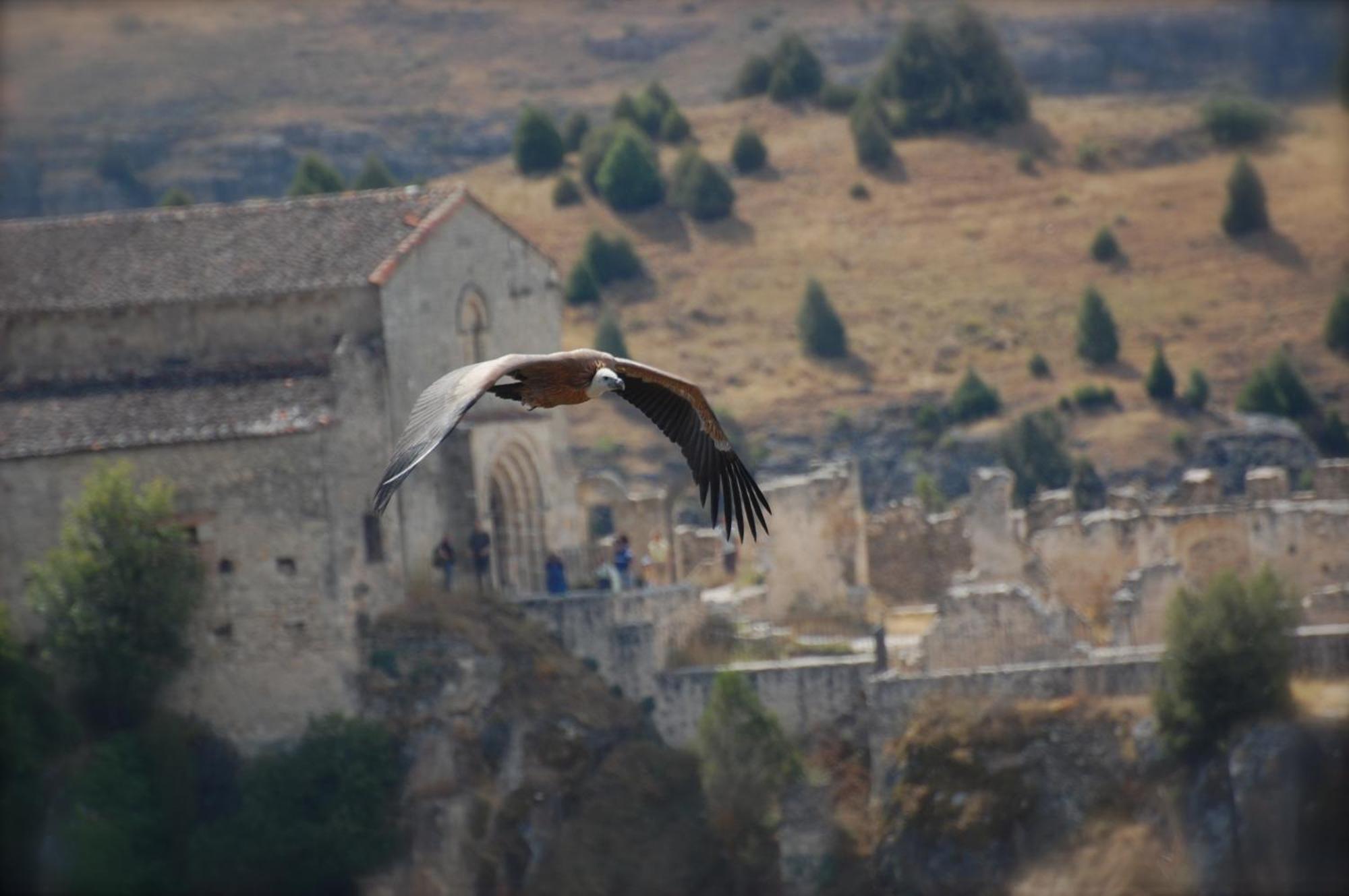 El Rincon De Las Hoces Del Duraton Burgomillodo エクステリア 写真