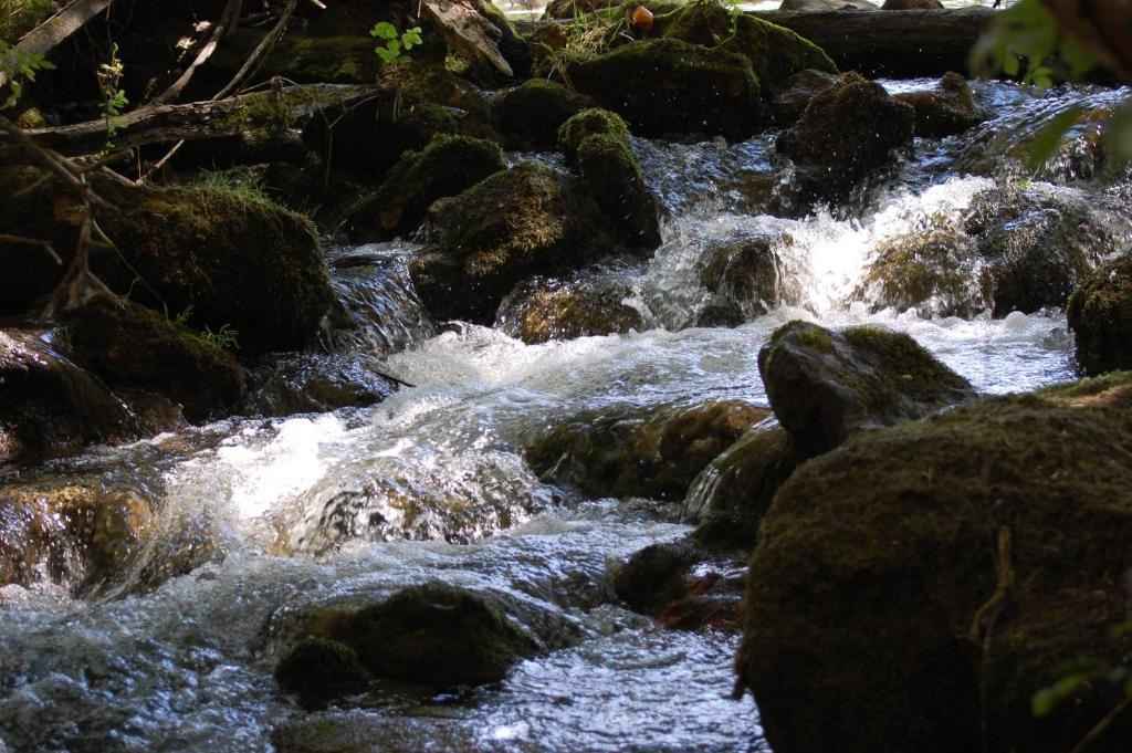 El Rincon De Las Hoces Del Duraton Burgomillodo エクステリア 写真